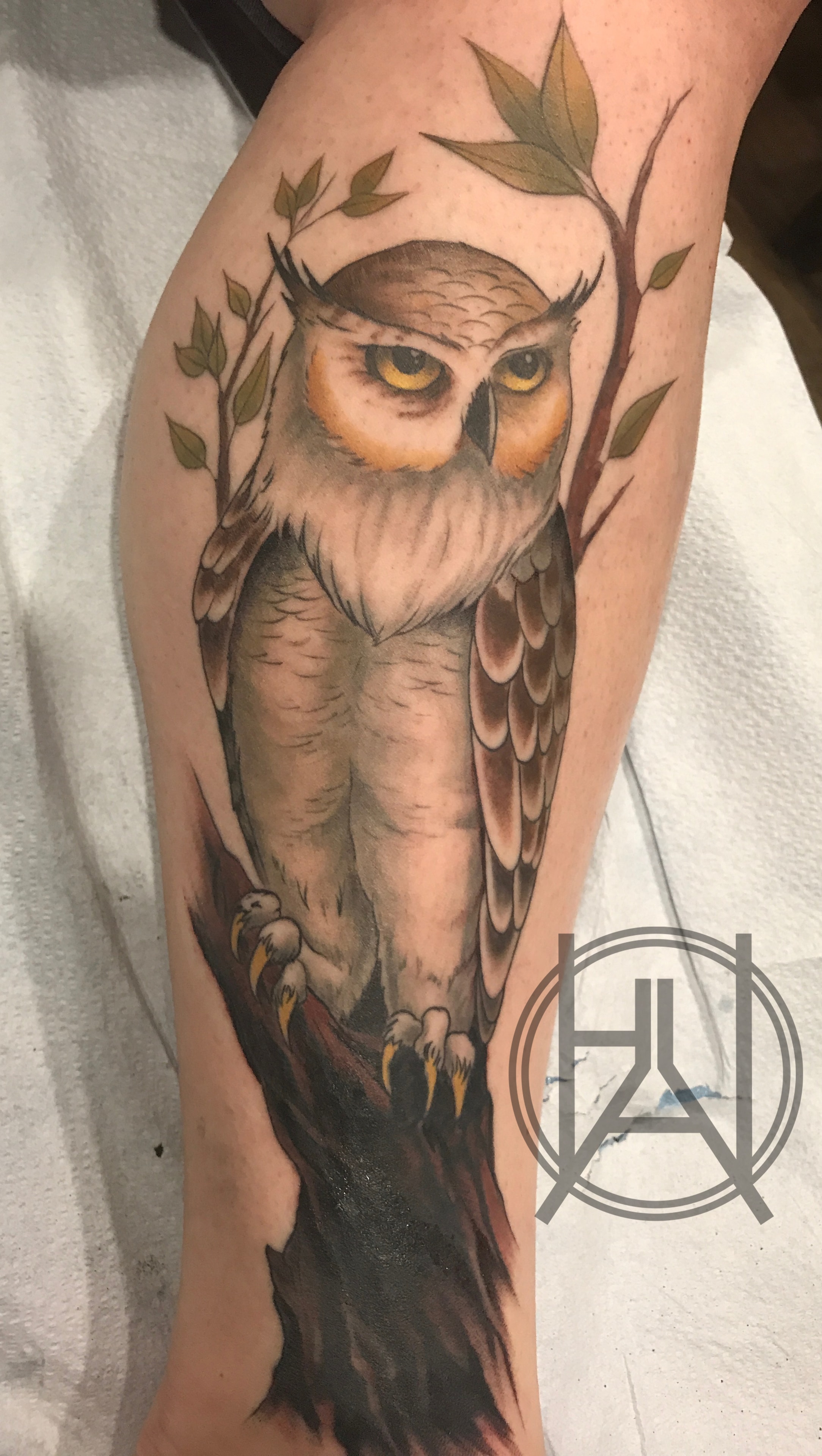 Realistic owl perched on branch — color cover-up calf