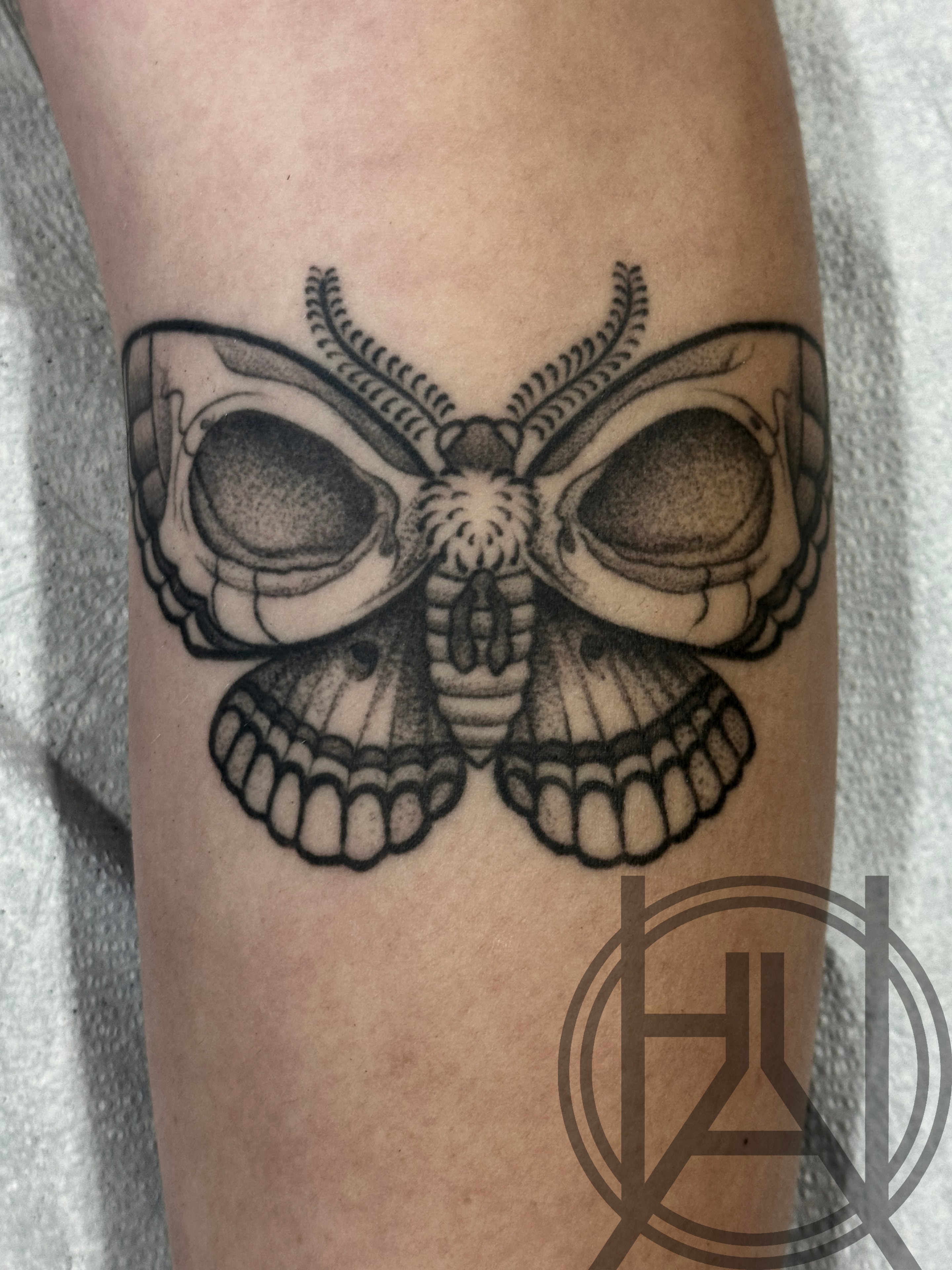 Skull moth — dot work forearm