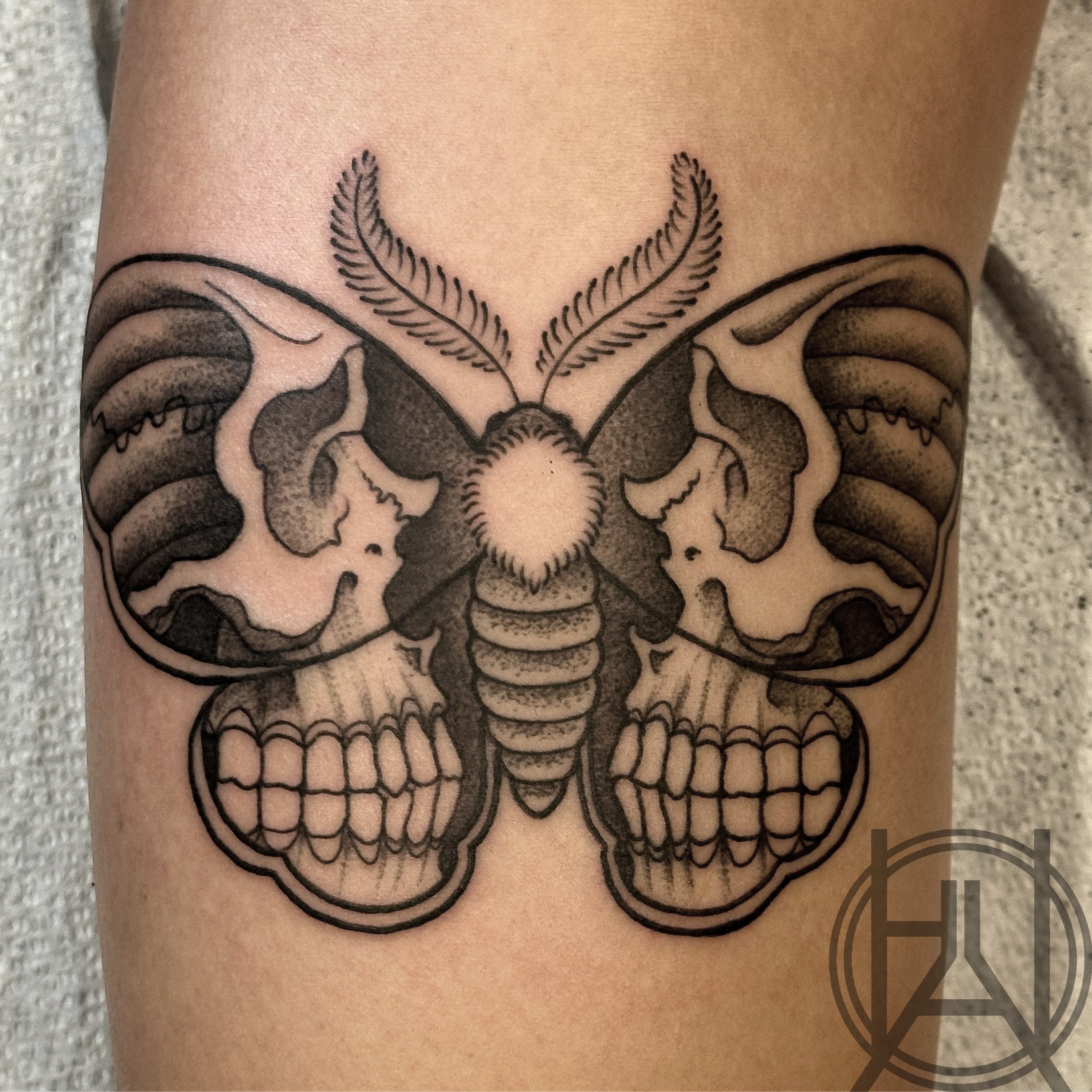 Skull moth variant — dot work forearm
